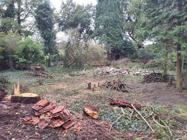 2024-05-16-2123.jpg