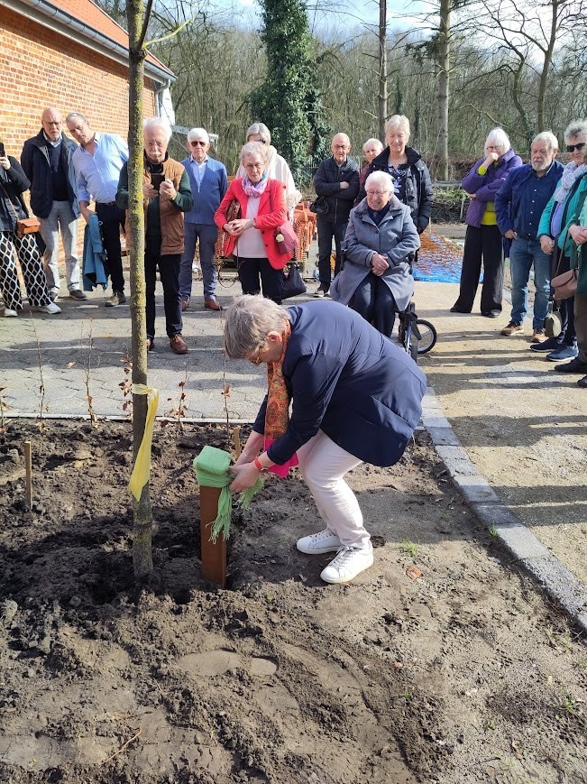 3_planten.jpg